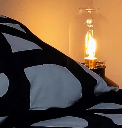 Le Bel Ami Proche Pontaillac, 3 Pers, Proximite Centre, Plage, Commerce Daire Royan